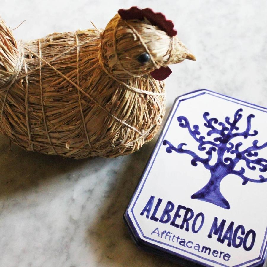 Albero Mago Pensión Florencia