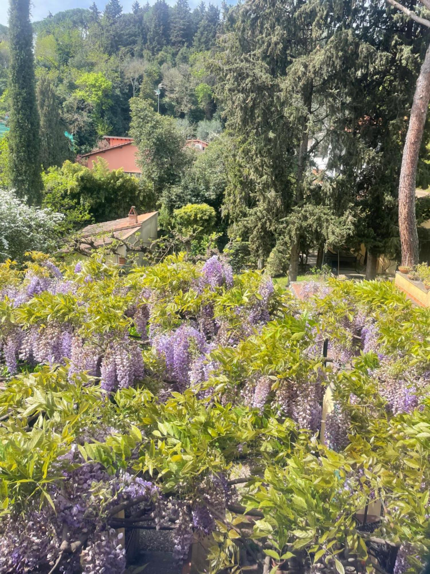 Albero Mago Pensión